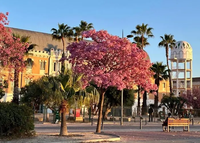 Apartamento Jacaranda