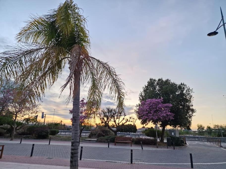 Jacaranda Apartment