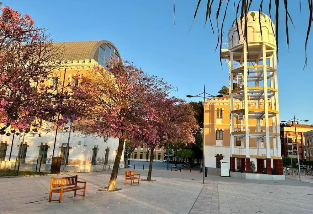 Jacaranda *